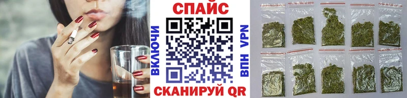 Купить где  Новоузенск  Бутират BDO 
