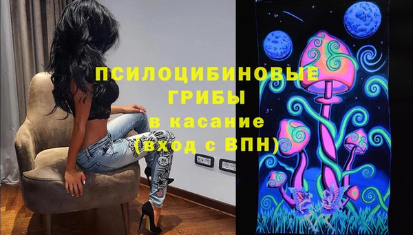 прущая мука Армянск